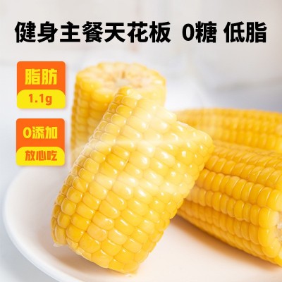 黄糯玉米真空装即食甜糯玉米代餐香糯玉米棒子当季新鲜一件代发图2