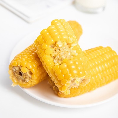 黄糯玉米真空装即食甜糯玉米代餐香糯玉米棒子当季新鲜一件代发图5
