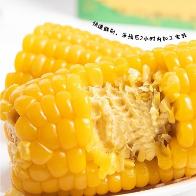 黄糯玉米真空装即食甜糯玉米代餐香糯玉米棒子当季新鲜一件代发图3