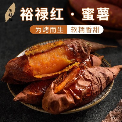 红薯新鲜农家自种裕禄红红薯地瓜番薯烤红薯红皮桔心香甜无丝5斤图2