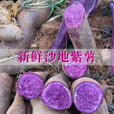 裕禄红农家自种紫罗兰紫薯 新鲜现挖现发 沙地紫红薯软糯香甜无丝图3