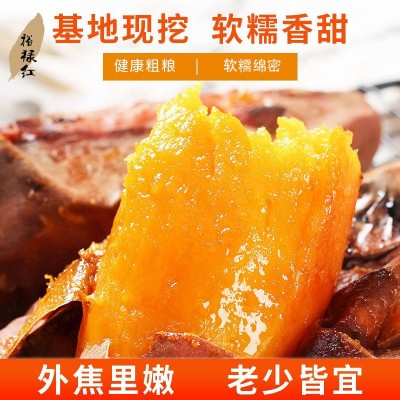 红薯新鲜农家自种裕禄红红薯地瓜番薯烤红薯红皮桔心香甜无丝5斤图2