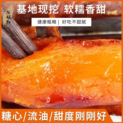红薯新鲜农家自种裕禄红红薯地瓜番薯烤红薯红皮桔心香甜无丝5斤图4