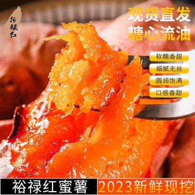 红薯新鲜农家自种裕禄红红薯地瓜番薯烤红薯红皮桔心香甜无丝5斤图3