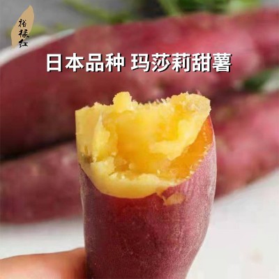 裕禄红黄心蜜薯红薯新鲜黄心蜜薯小番薯超甜代餐番薯五斤装图2