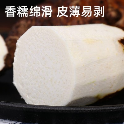 山东香芋新鲜蔬菜9斤香芋现挖当季大芋头整箱魔芋奶芋包邮图3