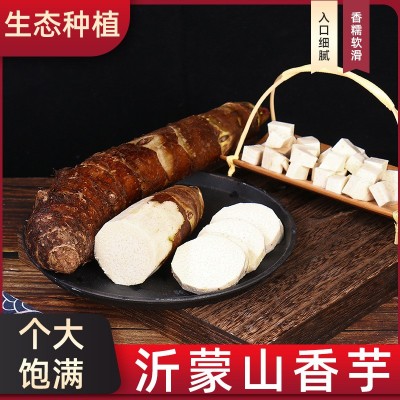 山东香芋新鲜蔬菜9斤香芋现挖当季大芋头整箱魔芋奶芋包邮图2