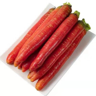 沙地水果红萝卜红皮红心新鲜脆甜沙窝生吃即食胡萝卜9斤代发批发图4