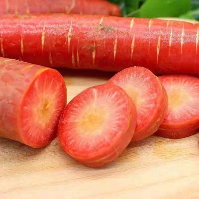 沙地水果红萝卜红皮红心新鲜脆甜沙窝生吃即食胡萝卜9斤代发批发图5