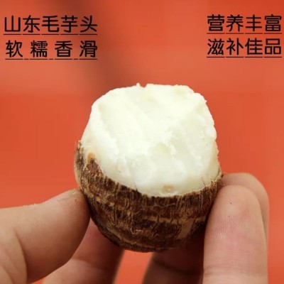 芋头山东小毛芋头10斤包邮芋艿牛奶香芋新鲜蔬菜粘糯芋头果蔬芋仔图3