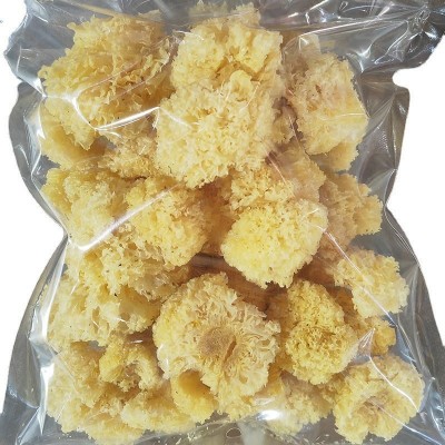 古田精挑椴木小银耳新耳采摘严选白木耳糯耳小银耳干货厂家直销图5