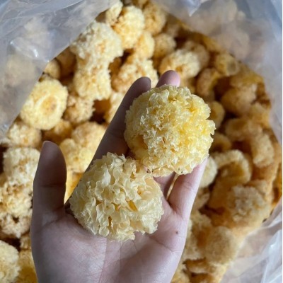 古田精挑椴木小银耳新耳采摘严选白木耳糯耳小银耳干货厂家直销图2