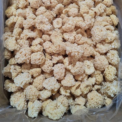 古田精挑椴木小银耳新耳采摘严选白木耳糯耳小银耳干货厂家直销图3