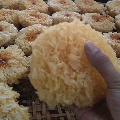 福建古田大花银耳500g白木耳干货一煮就糯银耳胶质多 源头厂家图3
