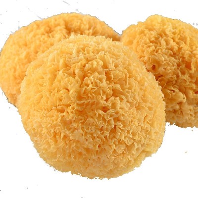 优选古田丑耳 500g银耳羹白木耳糯耳出胶软糯福建厂家食用菌干货图4