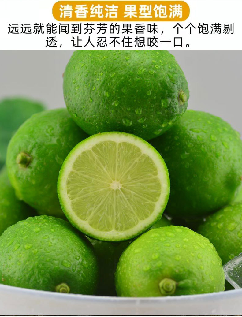 无籽青柠-1_07.jpg