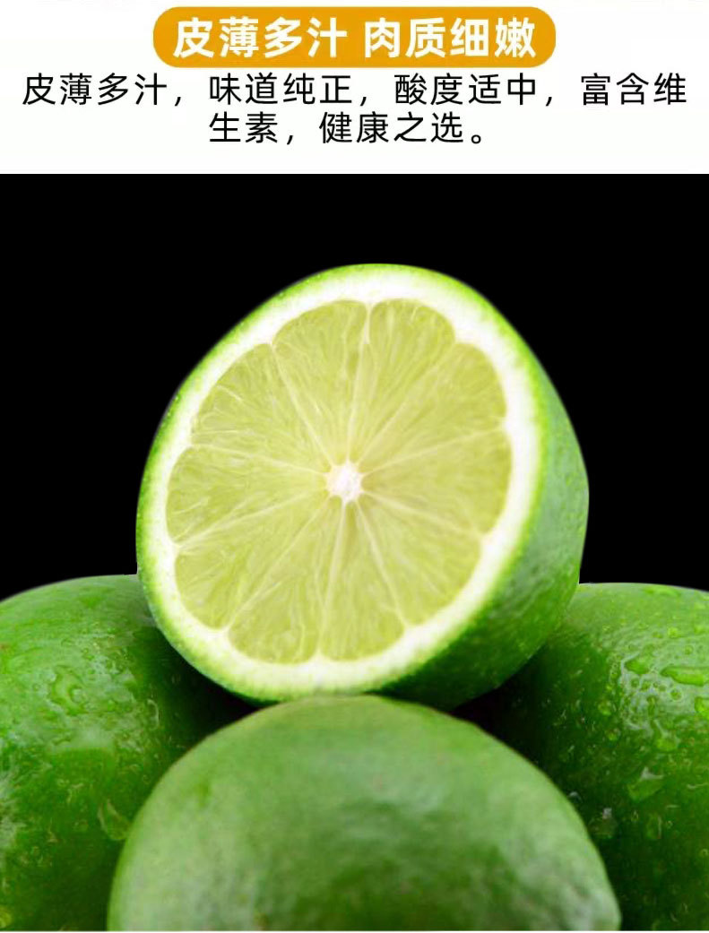无籽青柠-1_08.jpg