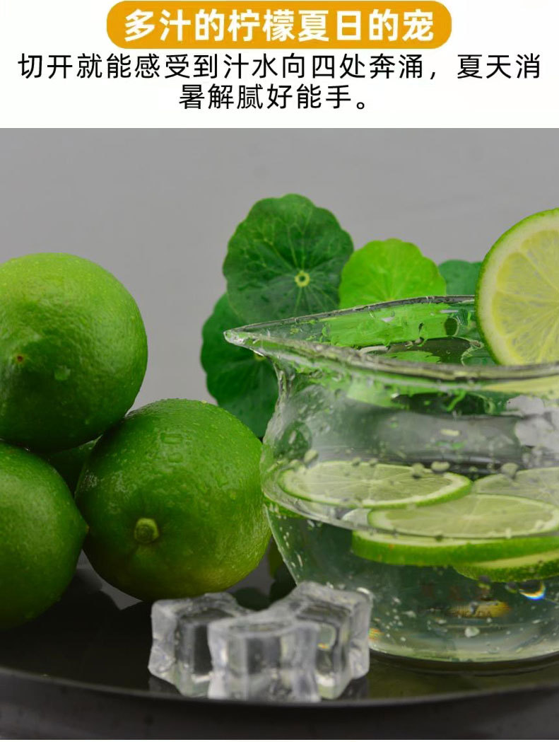 无籽青柠-1_10.jpg