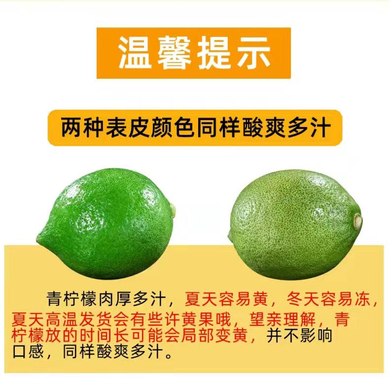 无籽青柠-1_14.jpg