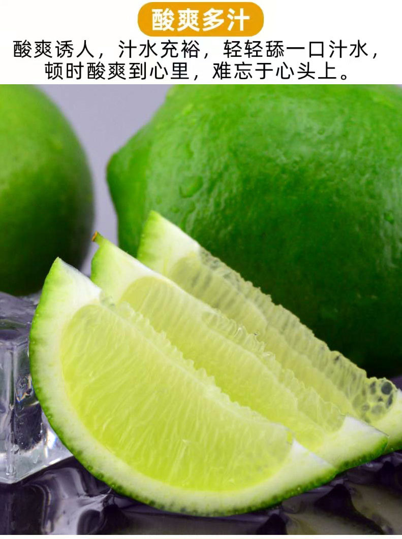 无籽青柠-1_09.jpg
