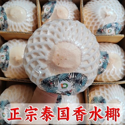 QD牌泰国椰青新鲜椰子特大果9个装进口整箱批发D牌椰青图1
