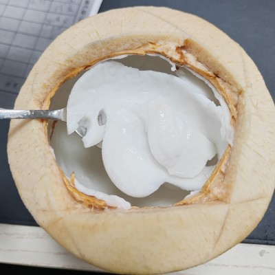 QD牌泰国椰青新鲜椰子特大果9个装进口整箱批发D牌椰青图5