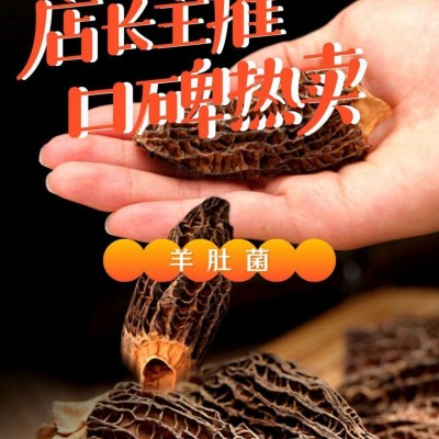 羊肚菌干货云南特产头茬羊肚菌干菌散装剪柄食用羊肚菌小个500g图4
