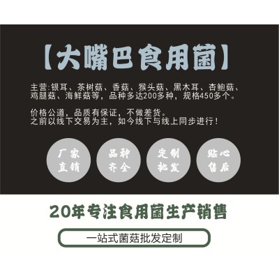 【产地直批】福建古田杏鲍菇 食用菌产地批发杏鲍菇 200常规装 厂图4
