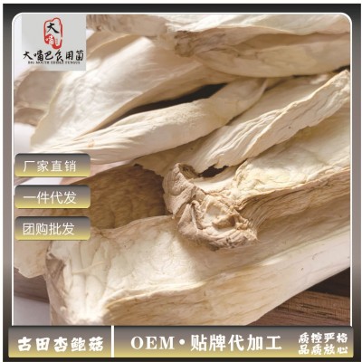 【产地直批】福建古田杏鲍菇 食用菌产地批发杏鲍菇 200常规装 厂