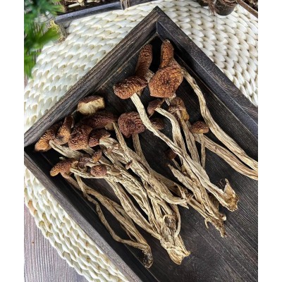云南云滋道茶树菇可煲汤炒菜一袋80g图3
