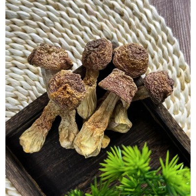 云南云滋道姬松茸一袋80g煲汤炒菜可食用菌类包装精美图2