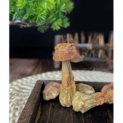 云南云滋道姬松茸一袋80g煲汤炒菜可食用菌类包装精美图5