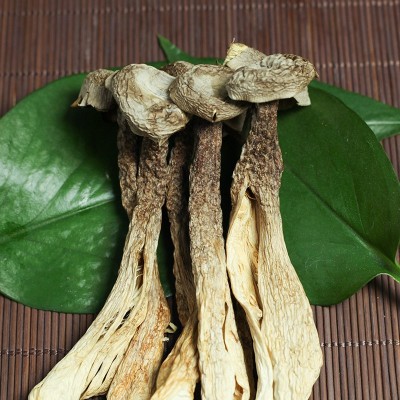 厂家批发鹿茸菇干货鹿茸菌180g无硫野生菌新鲜好菇土特产煲汤食材图3