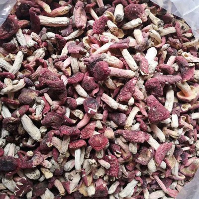 红菇菌 云南特产菌菇干货煲汤食材产地货源 批发代发500g 红蘑菇图3