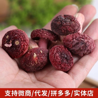 红菇菌 云南特产菌菇干货煲汤食材产地货源 批发代发500g 红蘑菇图2