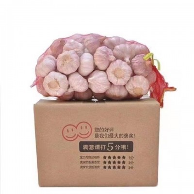 蒜新干山东紫皮大蒜头批发价新鲜大蒜新干蒜头1/3/5/10斤一件批发图5