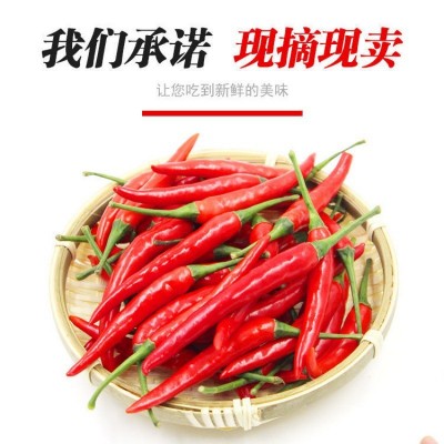 新鲜红辣椒广东椒批发朝天椒泡椒剁椒蔬菜1斤3斤4斤5斤9斤速卖通图3