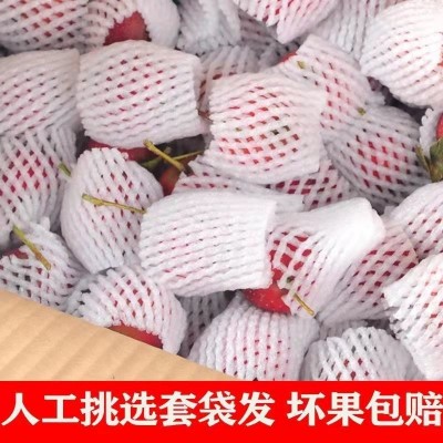 山楂批发新货新鲜果棉球山里红果大金星歪把红五棱水果糖葫芦包邮图3