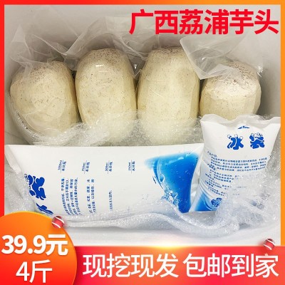 广西荔浦芋头块新鲜切片芋头条商用奶茶芋泥真空冷冻去皮香芋图2