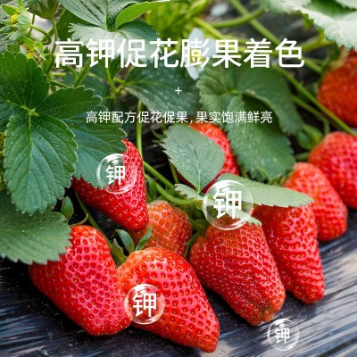 复合肥蔬菜农用种菜专用肥料化肥有机花肥氮磷钾花卉盆栽植物通用图4