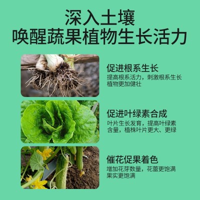 复合肥蔬菜农用种菜专用肥料化肥有机花肥氮磷钾花卉盆栽植物通用图2