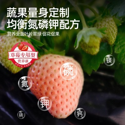 草莓肥料专用肥营养液家用植物盆栽蔬果膨果大增甜有机化肥水溶肥图2