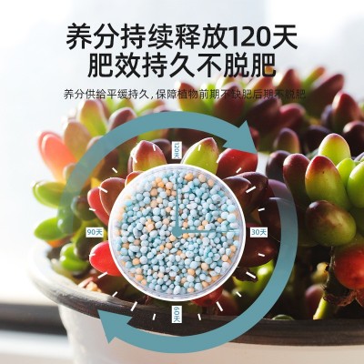 多肉肥料专用肥生根增色缓释肥颗粒家用室内养花植物氮磷钾复合肥图4