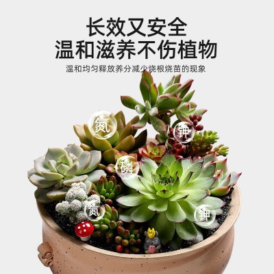 多肉肥料专用肥生根增色缓释肥颗粒家用室内养花植物氮磷钾复合肥图5