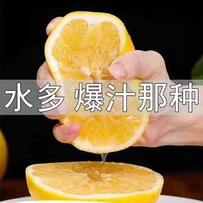 葡萄柚2图2