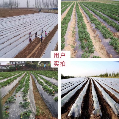 农用地膜菜园大棚除草保温保湿白色透明聚乙烯薄膜一次性塑料布图2