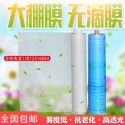 批发蓝色无滴大棚膜农用加厚抗老化透明塑料薄膜白色无滴膜po膜图2