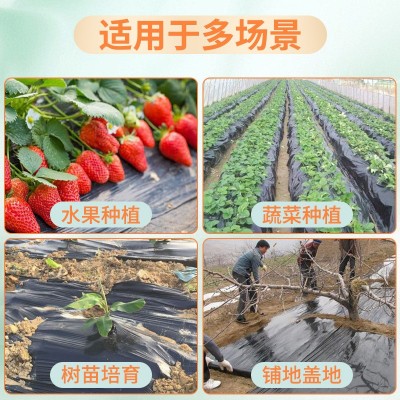 PE黑地膜农用塑料地膜黑色农用除草薄膜保温保湿地膜聚乙烯薄膜图3