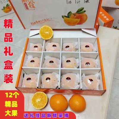 【产地直发】送礼佳品正宗赣南脐橙江西橙子现摘现发礼盒一件代发图3