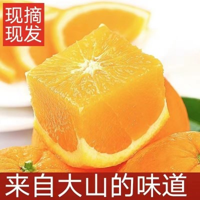 正宗江西赣南脐橙 橙子10斤新鲜水果当季整箱 赣州 产地直发 挤橙图2